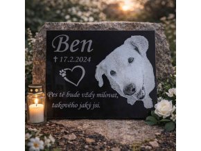 pomník pro psa ze skla3020