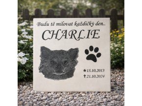 c04bb180 f753 4a68 b22c 0b64413b4e1d