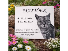 nahrobek pro kocku 2