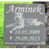 pomník pro pejska