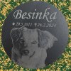 Břidlicový náhrobek pro psa - 30cm kulatá - S FOTKOU LAKOVANÁ