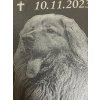 Náhrobek pro psa s textem, břidlice, 30x30 (Varianta BEZ LAKU)