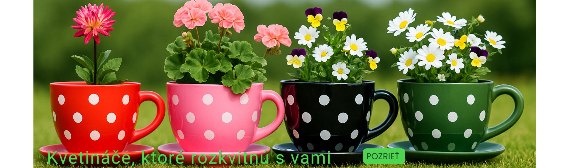 Šálka s podšálkou