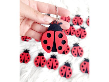 Drevená kľúčenka Lienka 🐞