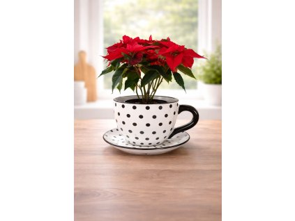 čiernobila s gulickami2