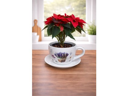 ChatGPT Image 26. 1. 2026, 15 33 05.png