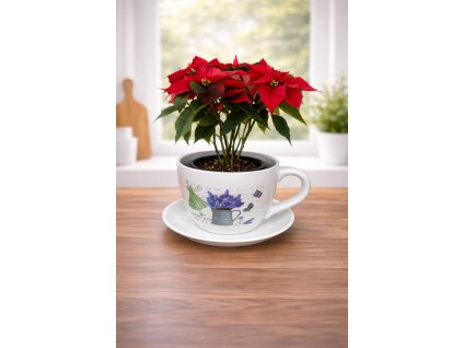 ChatGPT Image 26. 1. 2026, 15 30 44.png