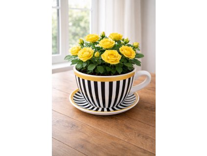 bielocierne so zlatym velka