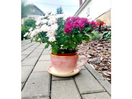Šálka s podšálkou Bledočervená-malá