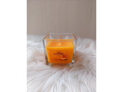 malá hranatá tropické mango