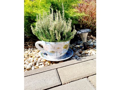 Šálka s podšálkou Vázy-stredná