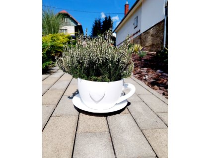 Šálka s podšálkou Srdce biele-stredná