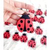 Drevená kľúčenka Lienka 🐞