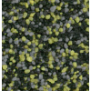 OSM1146