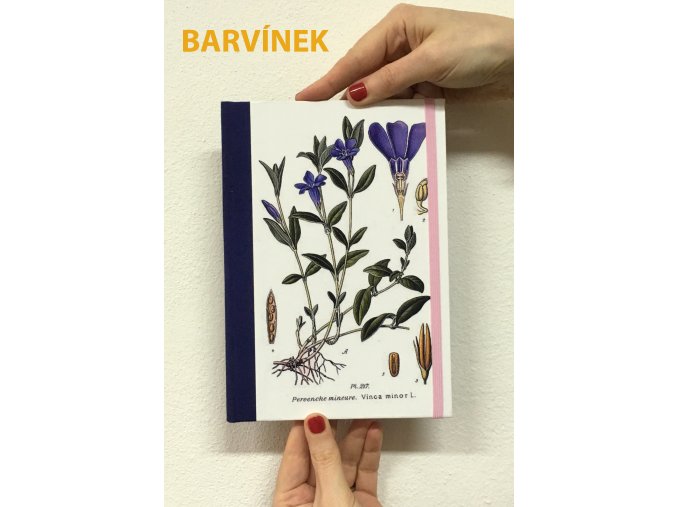 barvinek