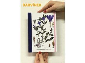 barvinek