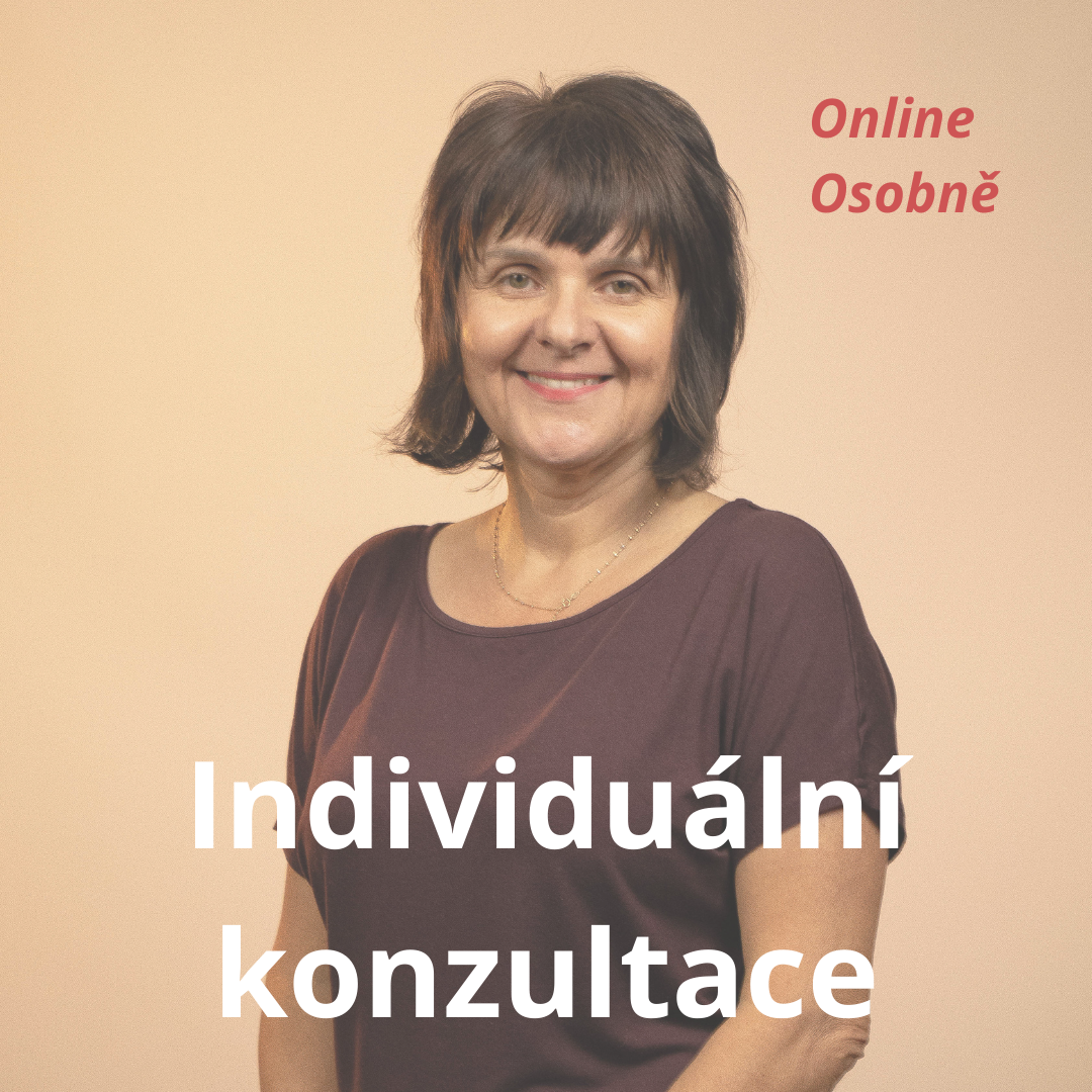 Individuální konzultace