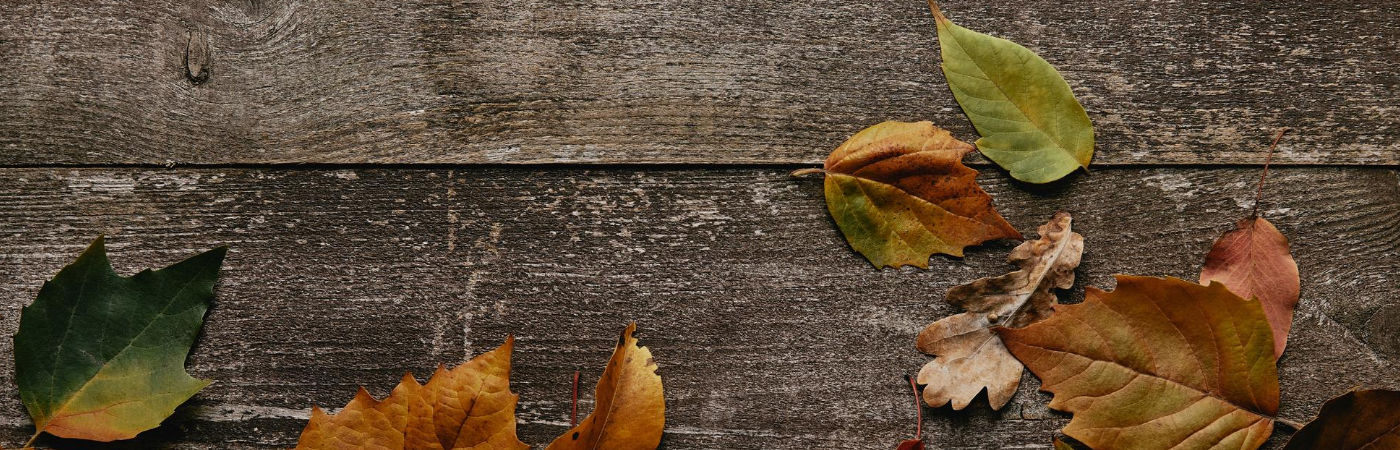 Proč máme radost, že je podzim konečně tady?