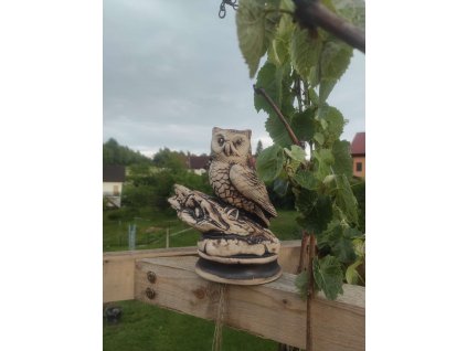 Compress 20220902 221504 4285