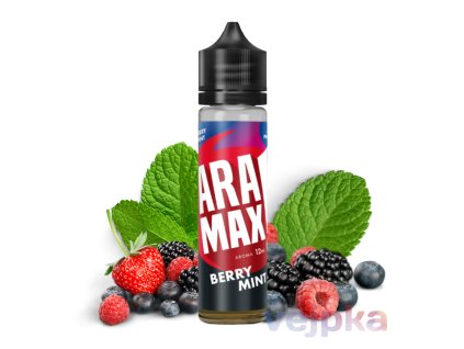 Shake and vape ARAMAX berry mint