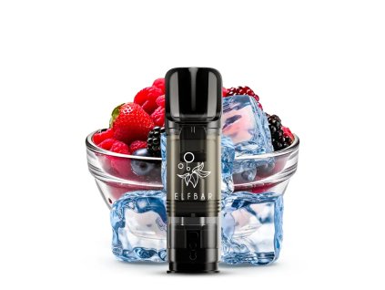ELFA PODY FROZEN BERRIES (2)