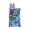 Gem Box BLue Raz1