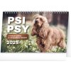 NOTIQUE Stolní kalendář Psi – Psy CZ/SK 2025, 23,1 x 14,5 cm