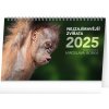 NOTIQUE Stolní kalendář Nejzajímavější zvířata 2025, 23,1 x 14,5 cm