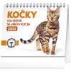 NOTIQUE Stolní kalendář Kočky – se jmény koček 2025, 16,5 x 13 cm