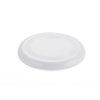 Frisbee ZING