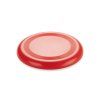 Frisbee ZING