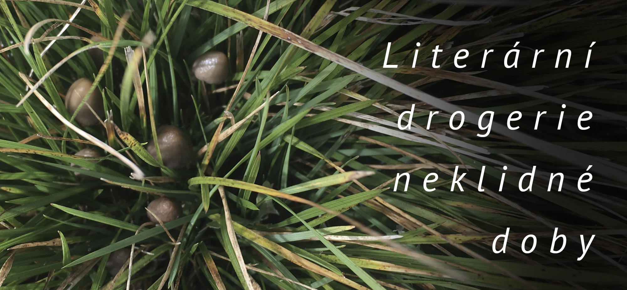 Literární drogerie neklidné doby