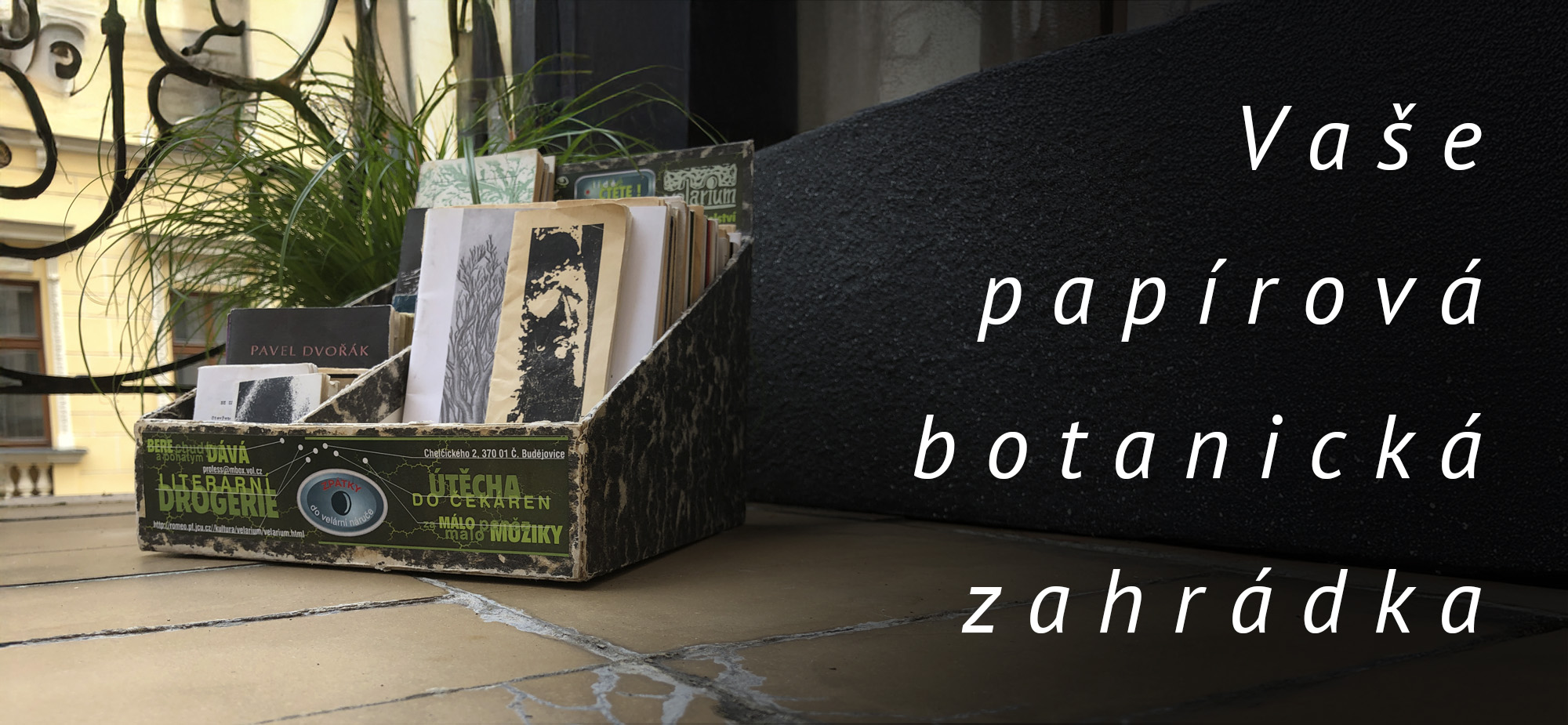 Vaše papírová botanická zahrádka