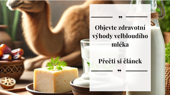 ČLÁNKY a STUDIE