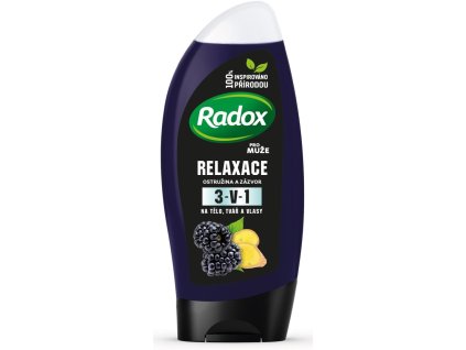 8710522406601 radox men feel wild blackberry ginger 2in1 shower gel 250 ml
