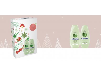 Schauma 7 Herbs Freshness dárková sada - šampon 250 ml + kondicionér 250 ml