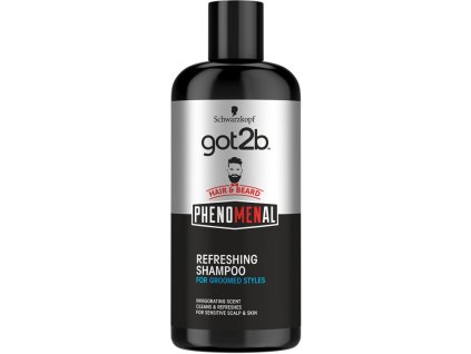 got2b phenomenal shampoo 9000101225600