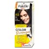 Palette Color Shampoo 113 černý, 50 ml