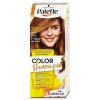 Palette Color Shampoo 317 oříškově plavý, 50 ml