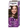 Palette Intensive Color Creme 4-5 pralinka, 50 ml