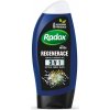 Radox Men Regenerace 3v1 sprchový gel fenykl a mořská sůl, 250 ml