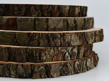 Aký drevený podklad je najlepší na vypaľovanie / pyrografiu?