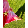 ChatGPT Image 23. 7. 2026, 10 35 30
