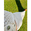 ChatGPT Image 23. 7. 2026, 10 39 56