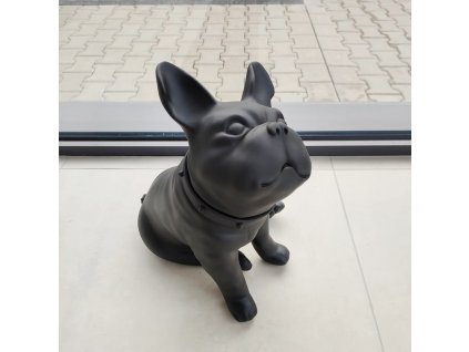 100 bulldog czarny