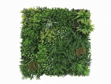 B9ED4925 FB7A 40DA 9144 BAA17ACF9A8E 1 201 a