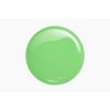 Victoria Vynn Gel lak 421 Lady Green 8 ml