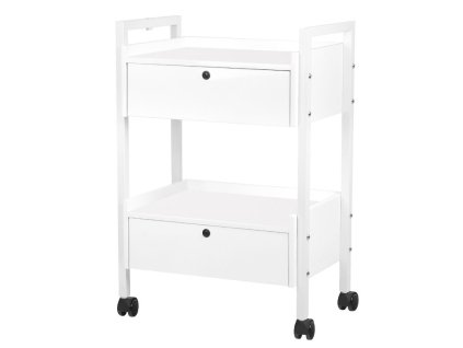 Kozmetický vozík TYP 1019