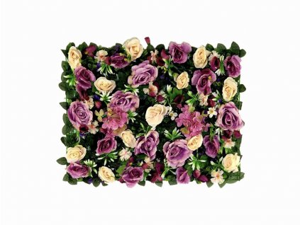 BA6AC55F 529D 46AA BFED 3B52CA81014B 1 201 a