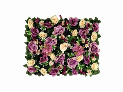 BA6AC55F 529D 46AA BFED 3B52CA81014B 1 201 a